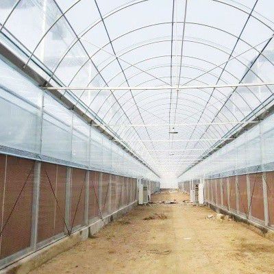 連城養殖大棚