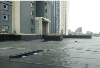 新聞 廈門防裂貼產品詳情 實力