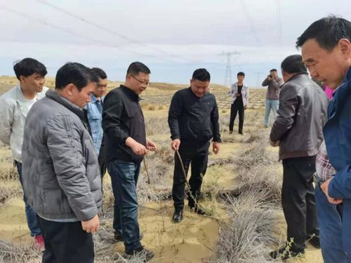 省林草局強化重點生態工程專項督查，保障建筑工程與生態保護協調發展